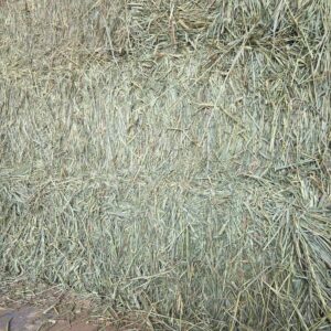 Stacked hay bales in a barn or storage area.