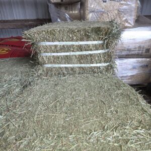 Stacked bales of hay and loose hay on the floor in a storage area.