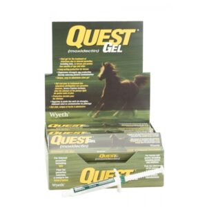 Box of Quest GEL energy gel with a horse image on packaging.