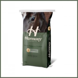 Horse image on feed bag